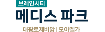 브레인시티 메디스파크